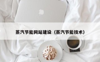 白沙蒸汽节能网站建设（蒸汽节能技术）