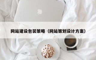 白沙网站建设包装策略（网站策划设计方案）